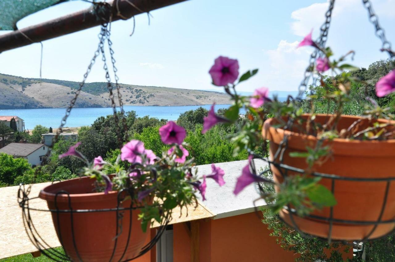לופאר Apartments Bela - Sea View מראה חיצוני תמונה